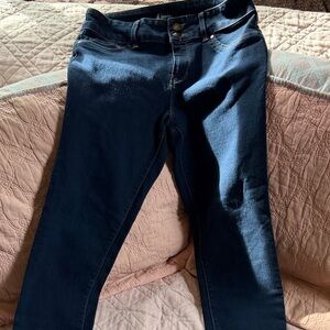d. jeans Dark Indigo Skinny Stretch Jeans